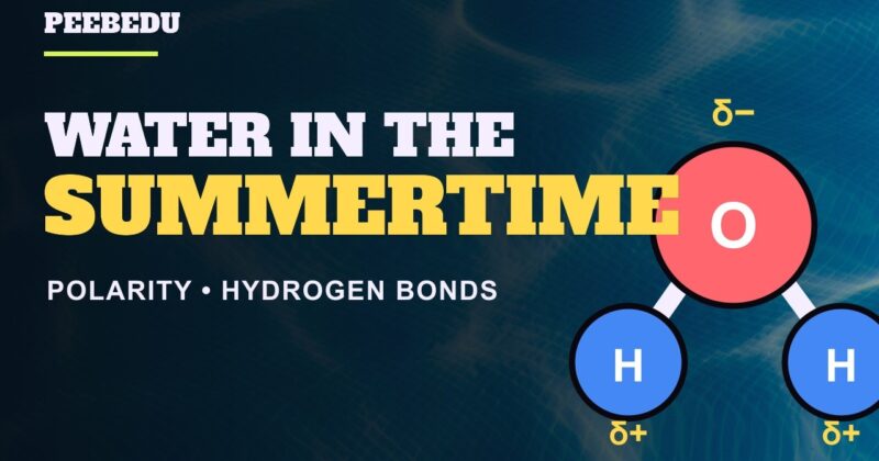 Water in the Summertime