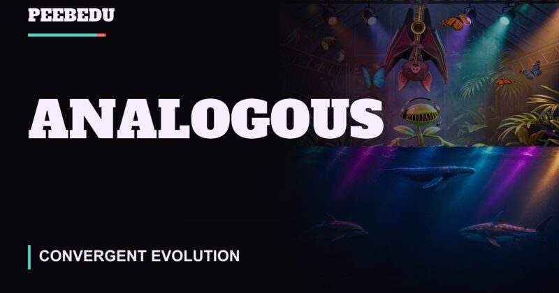 Analogous
