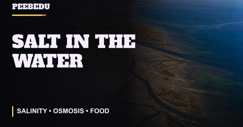 Salt in the Water