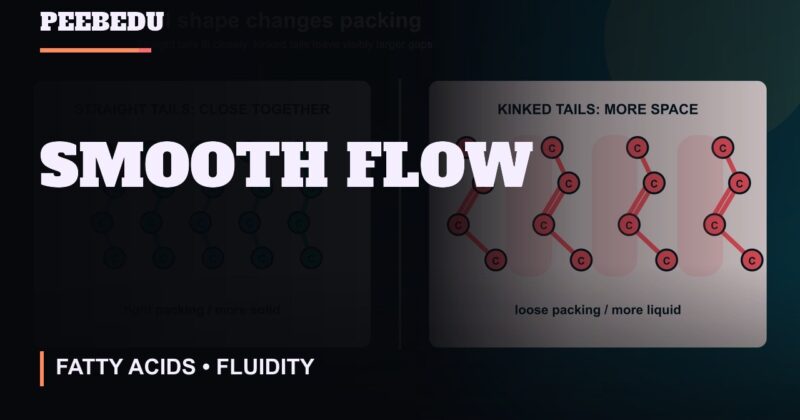 Smooth Flow