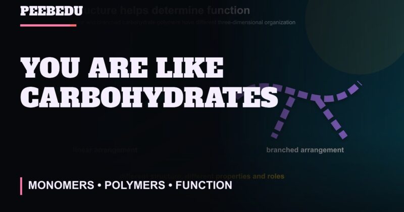 You Are Like Carbohydrates