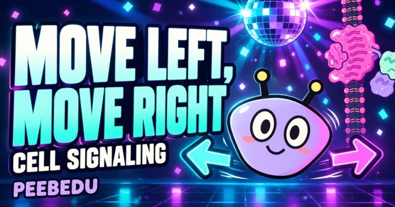 Move Left, Move Right